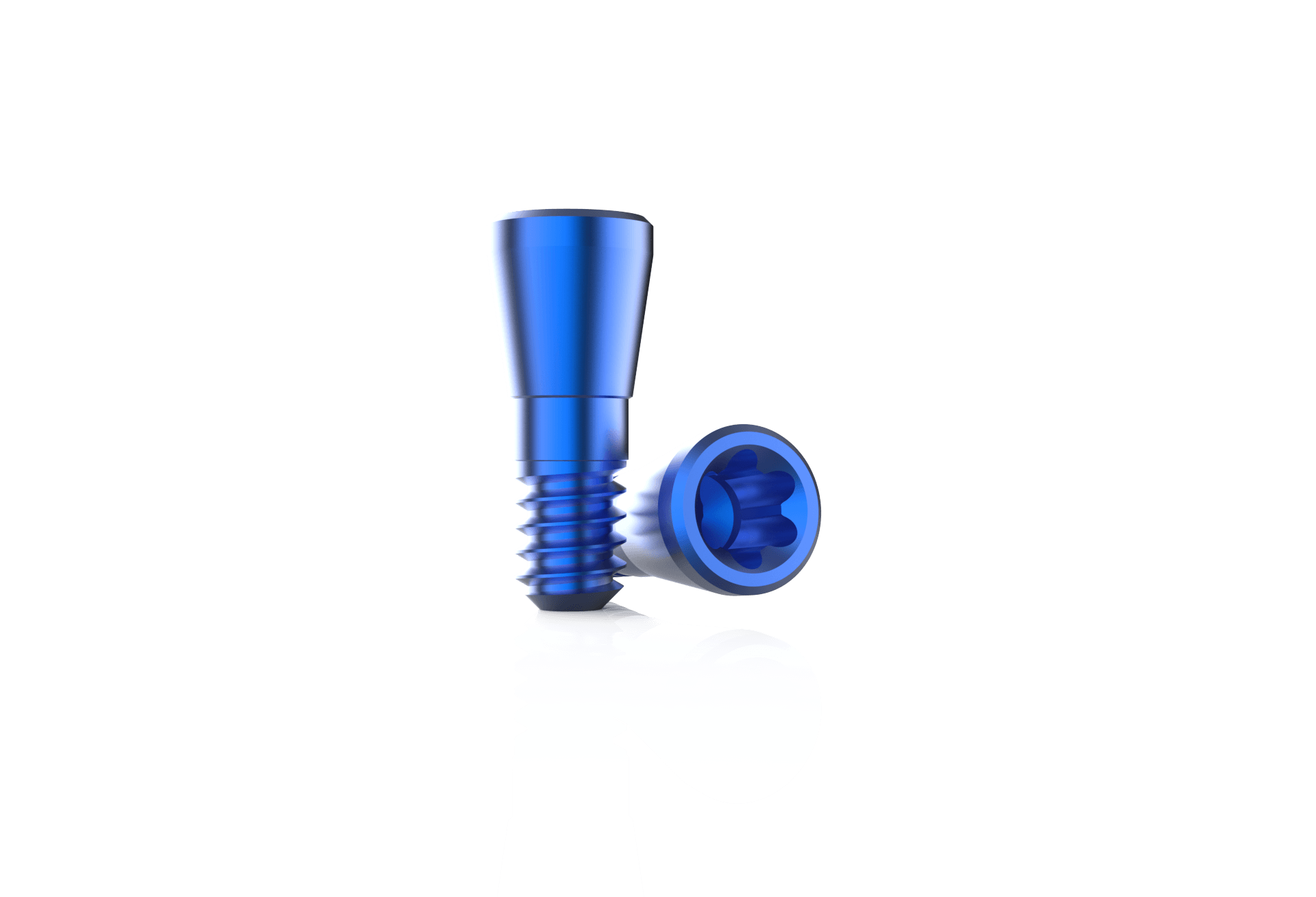 Rosen-Screw-14-T5-2 - Dental 3D
